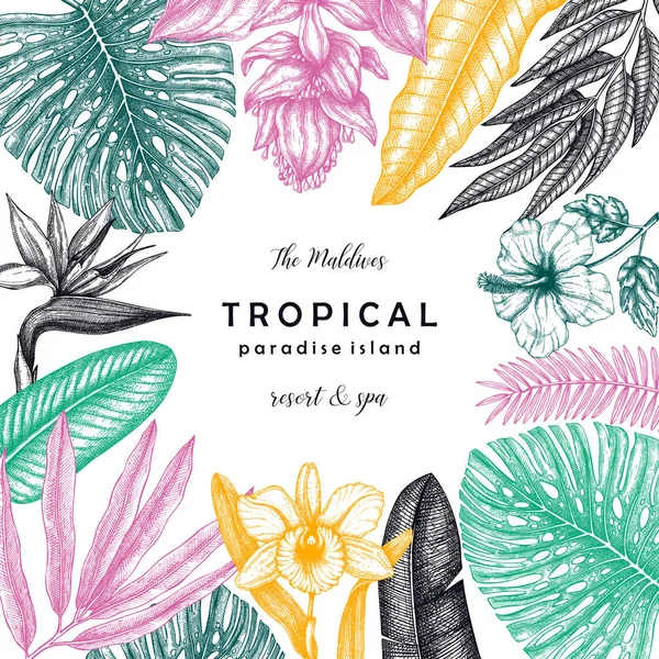 Тропічні квіти і листя рамки дизайну. мальований екзотичний план — стоковий вектор