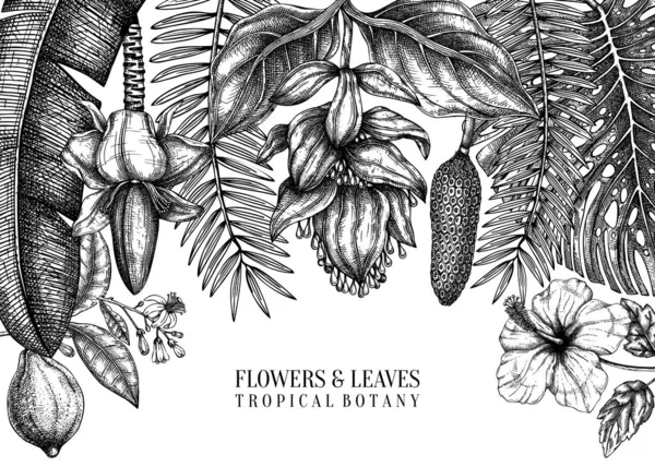 Plantas tropicales vector marco de diseño. Flores exóticas, cítricos frutales — Vector de stock