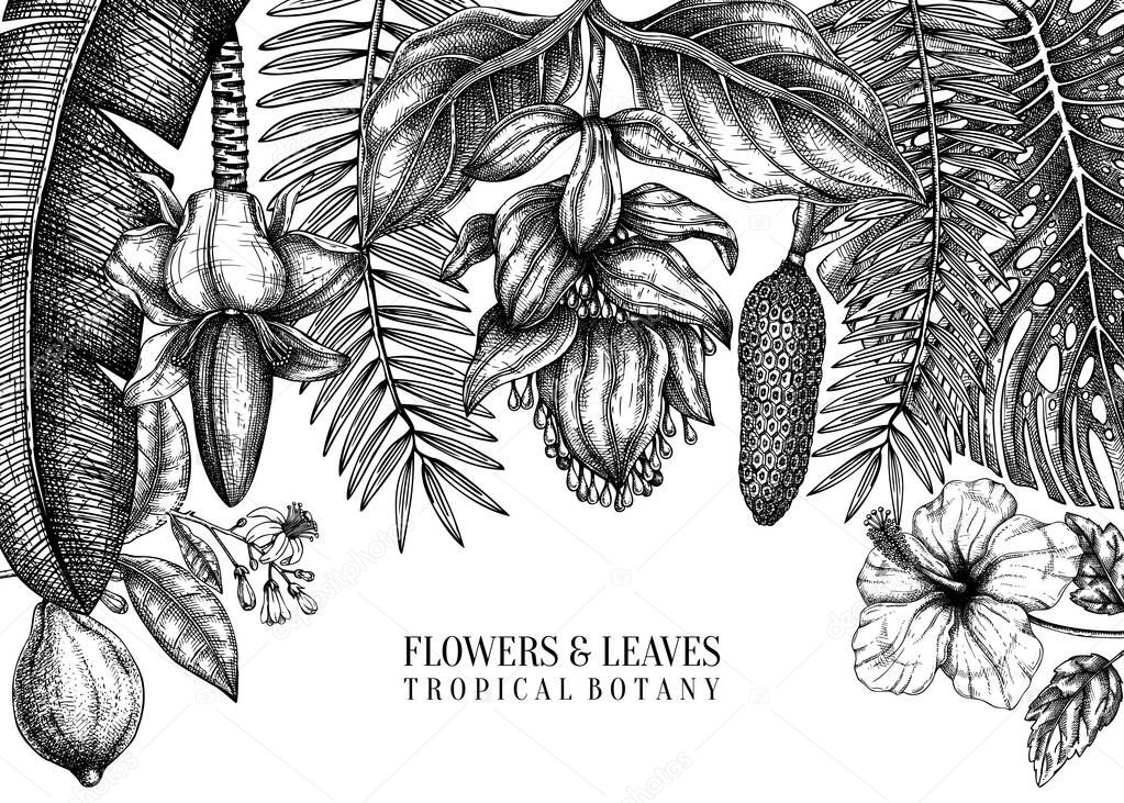 Tropical plants vector frame design. Exotic flowers, citrus frui
