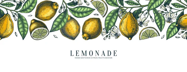 Rukopis ručně kreslené citrusové plody banner design. Vektorové citrony art — Stockový vektor