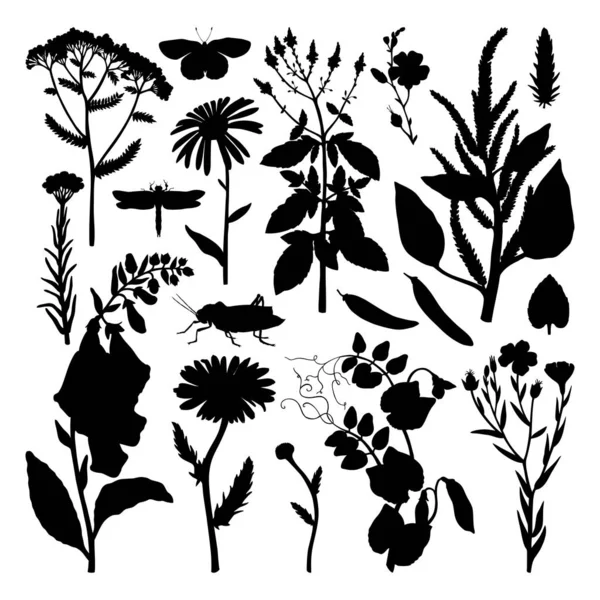 夏の花畑のコレクション。ハーブと雑草のベクトルセット — ストックベクタ