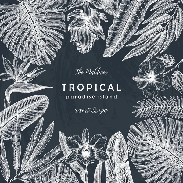 Design de verão com plantas tropicais. Flores exóticas desenhadas à mão — Vetor de Stock