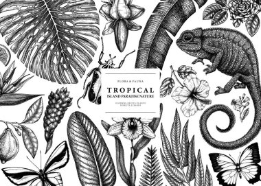 Tropical banner design. Vector frame with tropical plants clipart