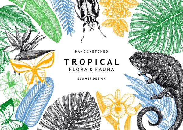Design de banner tropical. Moldura vetorial com plantas tropicais —  Vetores de Stock