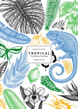 Tropical wedding invitation or greeting card. Vector design with hand drawn tropical plants, exotic flowers, palm leaves, insects and chameleon. Vintage wildlife background. Summer template with tropical plants and animals. clipart