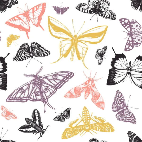 Papillons Dessinés Main Motif Sans Couture Haut Fond Insectes Détaillés — Image vectorielle