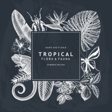 Tropical wreath design won chalkboard. Vector invitation and greeting card with hand drawn tropical plants, exotic flowers, palm leaves, insects and chameleon clipart