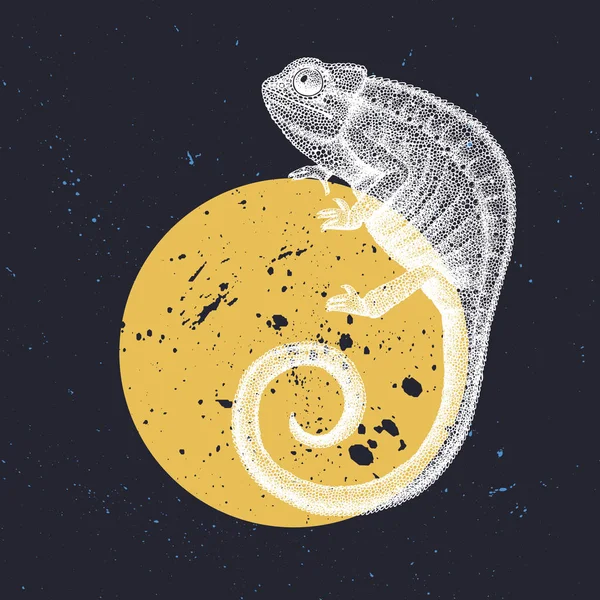 Illustration Caméléon Sur Lune Conception Vectorielle Avec Dessin Caméléon Dessiné — Image vectorielle