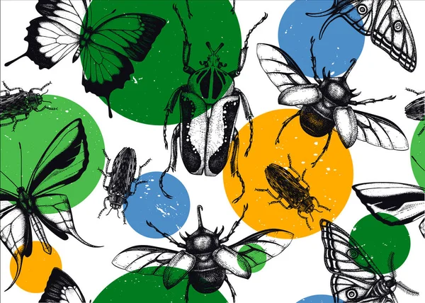 Modèle vectoriel sans couture avec des croquis détaillés d'insectes élevés. Han ! — Image vectorielle