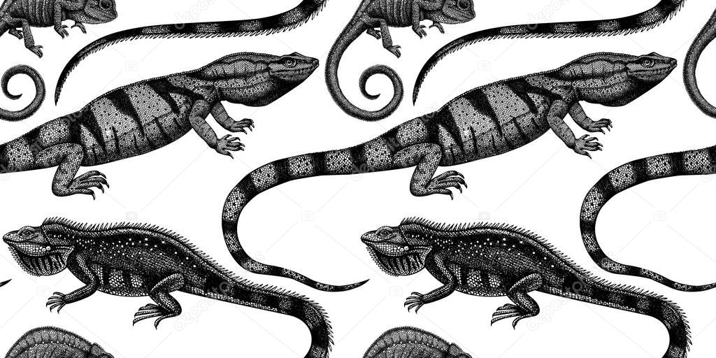 Hand sketched reptiles seamless pattern. Exotic animals backdrop