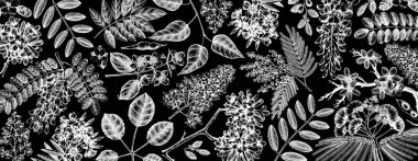 Çiçek resimlerinde bahar ağaçları olan vektör arkaplan. Ne?