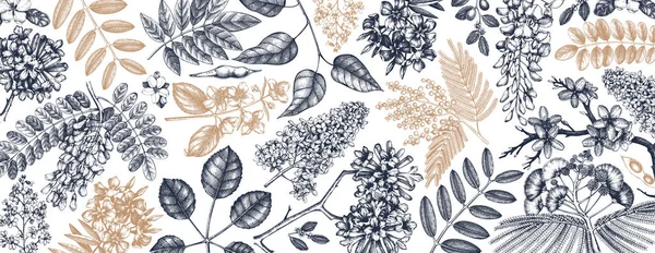 Fundal vectorial cu arbori de primăvară în ilustrații de flori. Ha — Vector de stoc