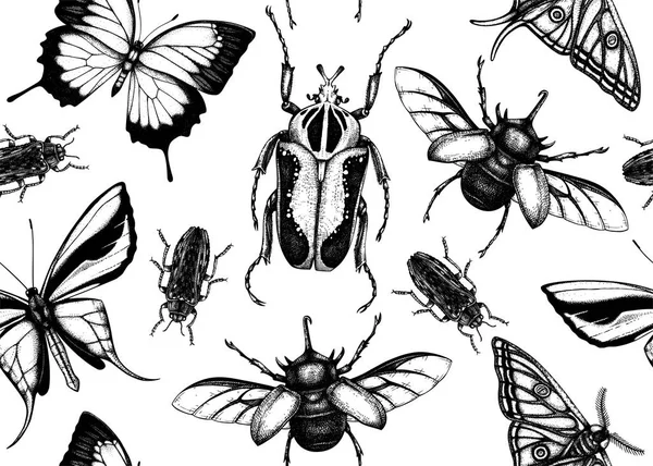 Insectes tropicaux motif sans couture. Fond vectoriel avec dra main — Image vectorielle