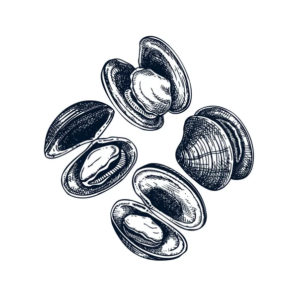 Hand drawn cooked oyster shells frame design. Vector package, ba — 스톡 벡터