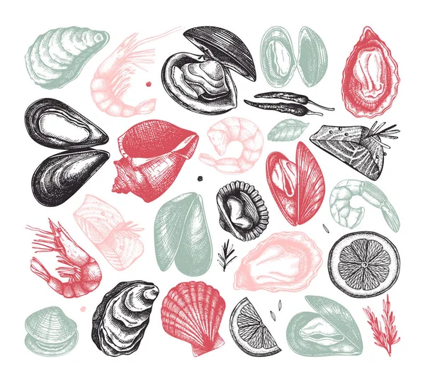 Collecte vectorielle de fruits de mer. Poissons, crustacés, crevettes dessinés à la main , — Image vectorielle