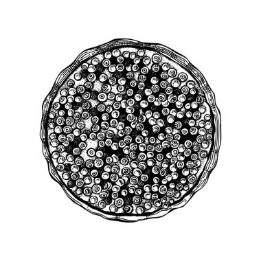 Geleneksel yabanmersinli turta skeci. Mürekkep el çizimi, meyve ve çilek pişirme. Ev yapımı yabanmersinli kek çizimi. Güzel fırın. En iyi yemek.. 