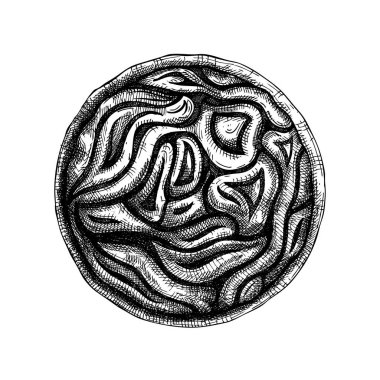 Merengue kek skeci. Mürekkep el çizimi, meyve ve çilek pişirme. Ev yapımı kek çizimi. Güzel fırın. En iyi yemek.. 