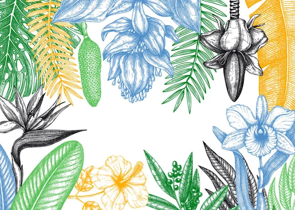 Conception Cadre Paradis Tropical Avec Des Fleurs Exotiques Dessinées Main — Image vectorielle