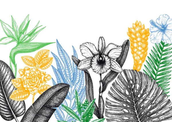 Conception Cadre Paradis Tropical Avec Des Fleurs Exotiques Dessinées Main — Image vectorielle