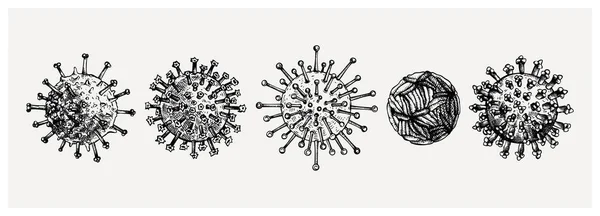 ウイルスのスケッチコレクションの異なる種類 ヴィンテージエングレービングスタイルの生物イラスト ウイルス感染マクロ図面イラスト — ストックベクタ