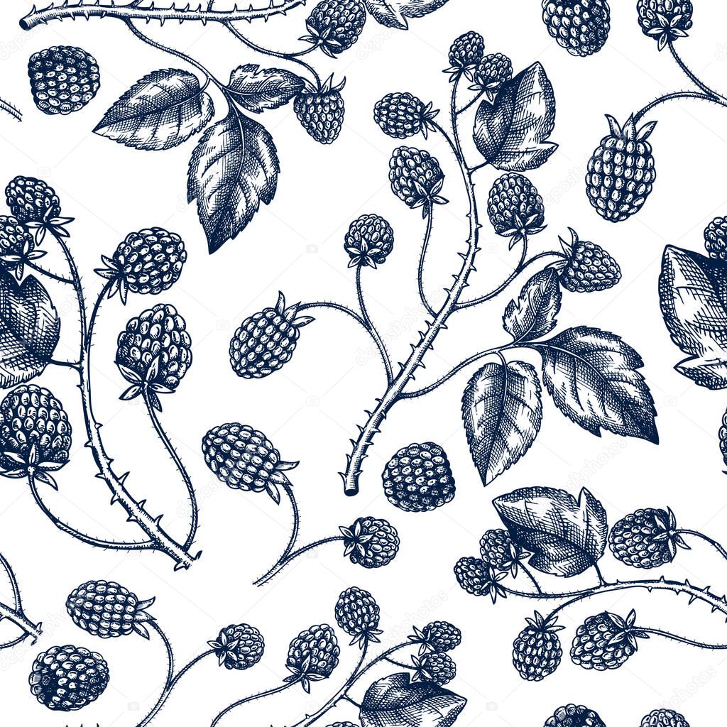 Hand drawn blackberries vector  backdrop in engraved style. Wild berries seamless pattern. Hand drawing. Vintage forest berry sketch. Blackberries plant background. Healthy food ingredient