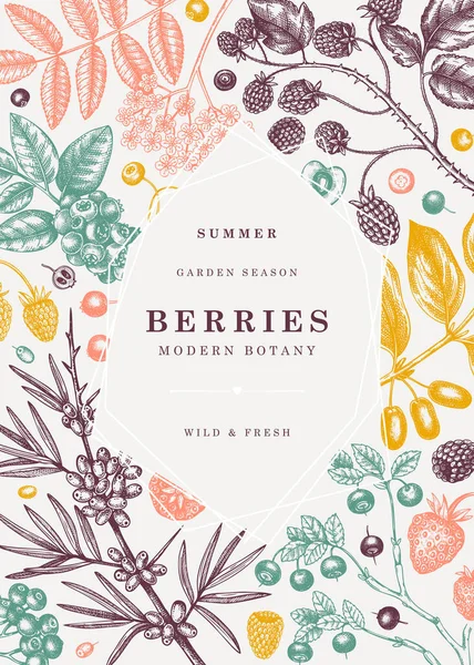 Sommerbeeren Trendiges Design Handgezeichnete Beerenabbildungen Frische Früchte Erdbeere Preiselbeere Johannisbeere — Stockvektor