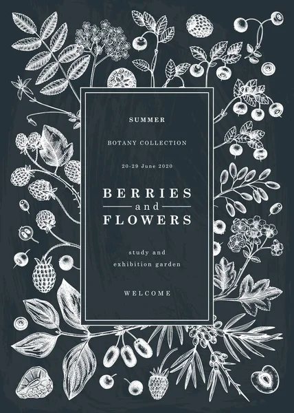 Sommerbeeren Design Auf Kreidetafel Handgezeichnete Illustrationen Von Beeren Und Blumen — Stockvektor