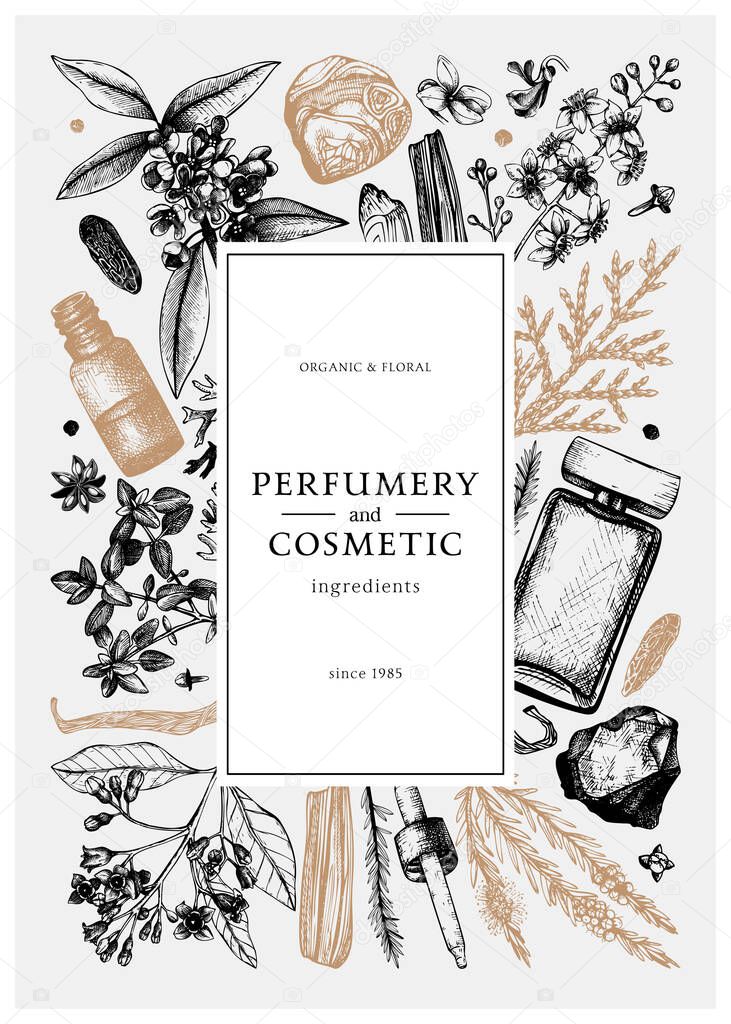 Hand drawn perfumery and cosmetics ingredients vintage banner. Decorative background with aromatic plants, fruits, spices, herbs for perfumery. Organic cosmetics design template. Aromatic plants flyer