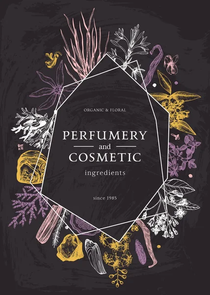 Tebeşir Tahtasında Yapımı Parfüm Kozmetik Malzemeleri Moda Tasarımı Dekoratif Aromatik — Stok Vektör