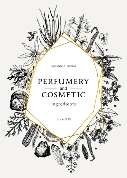 Handgetekende Parfumerie Cosmetica Ingrediënten Vintage Flyer Decoratieve Achtergrond Met Aromatische — Stockvector