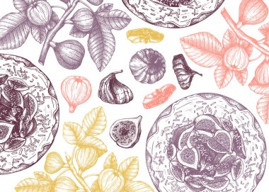 El çizimi incir meyvesi renginde vektör arkaplan. İncir dallı klasik pankart, taze ve kuru meyveler, kek pişirme. Yazlık gıda elementleri içeren retroşablon. Menü ya da tarif kitabı için.