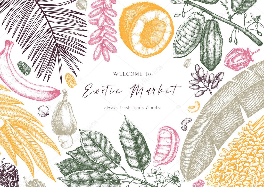 Vector design with hand drawn exotic fruits and nuts. Vintage frame with dates, banana, cocoa, coconut, cashew leaves, fruits and nuts. Retro template with summer food elements. Exotic market frame.