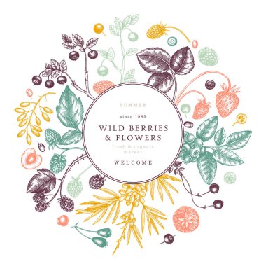 El yapımı böğürtlen çerçevesi oymalı. Yabanmersini ve çiçek tasarımı. El çizimi. Eski orman bitkileri skeci. Yaz meyveleri ana hatları. Sağlıklı besin maddeleri.