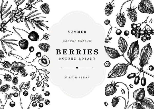 Desain Banner Berry Klasik Buah Beri Liar Dan Bunga Bingkai - Stok Vektor