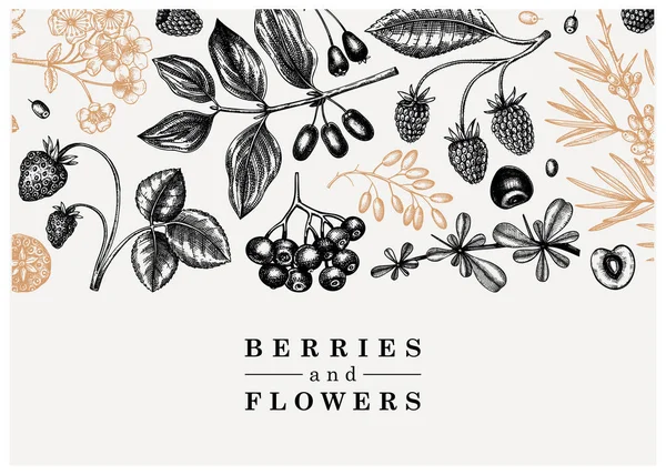Wild Berries Flowers Background Seasonal Berry Banner Design Ink Hand — Stock Vector