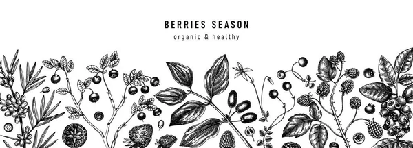 手描きの果実植物の背景 野生の果実や花のバナーデザイン 水墨画 白に隔離された黒い森の植物のスケッチ 夏の果実概要 健康食品成分 — ストックベクタ