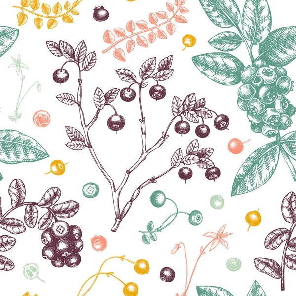 野生浆果雕琢风格的无缝图案 人工绘制的森林浆果 越橘无缝图案 手绘古埃及森林浆果植物背景 健康食品配料设计 — 图库矢量图片
