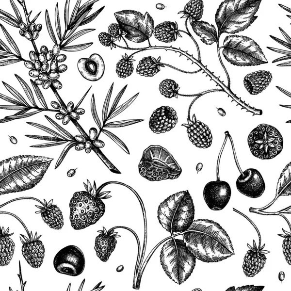 Wild Berries Sketches Seamless Pattern Hand Drawn Berry Vintage Vector — Stock Vector