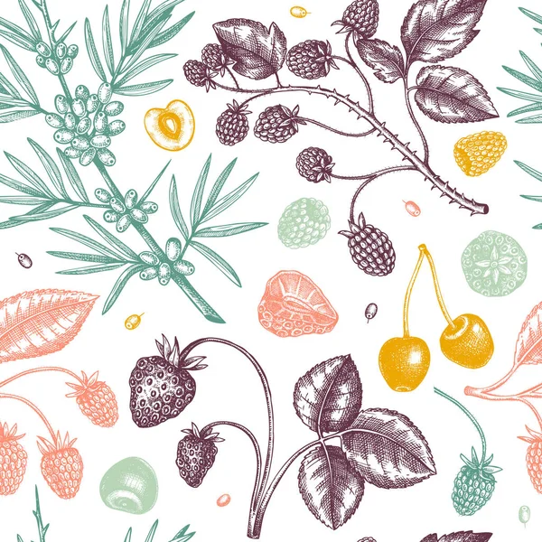ワイルドベリーはシームレスなパターンをスケッチします 手描きベリーヴィンテージベクトル背景 夏の果物の背景 イチゴ クランベリー チェリー ビリー ブルーベリー メニュー レシピ — ストックベクタ