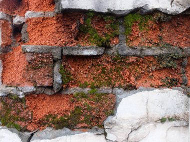 18. yüzyıl binasına ait alçı kalıntıları ile erozyon yosunlu kırmızı tuğla duvar çürüyen