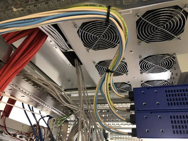Cables Red Multicolores Conectados Servidor Del Centro Datos — Foto de Stock