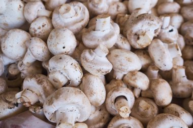 Champignon mantarları veya agaricus arkaplanı veya dokusu.