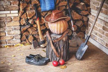 Sonbahar natürmort. Kabak, güdük, balta, ahşap, verandada şapka