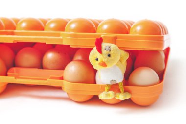 Oyuncak tavuk yumurta ile plastik tepsi çıkar