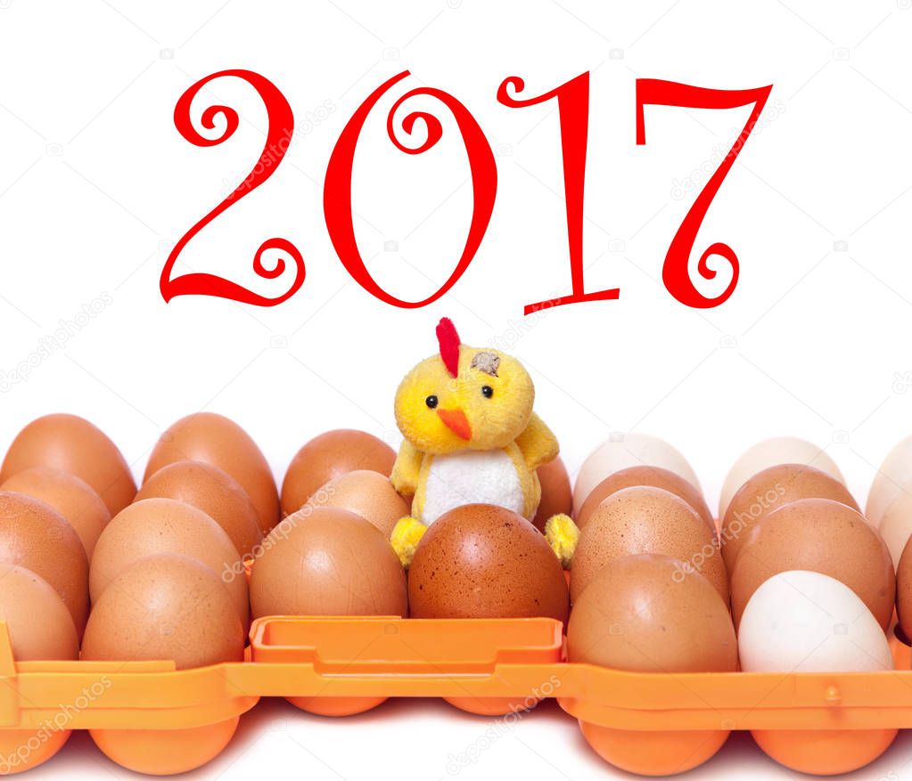 2017 chicken sitting on eggs in plastic tray