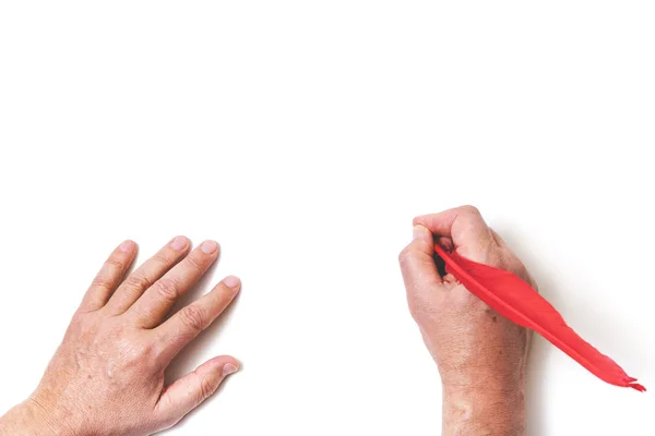 2017 dígitos escritos a mano del año en pluma de polla roja — Foto de Stock