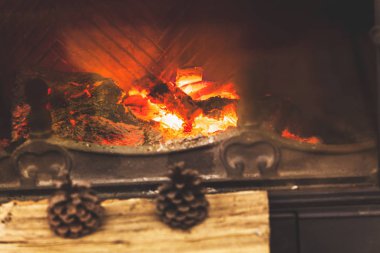 Kış natürmort. İki külah açtığında şöminenin yanında yalan.