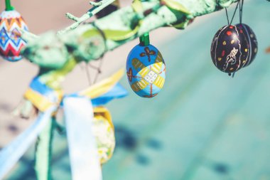 Grup boyalı Paskalya yumurtaları ağaç dalı