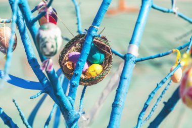 Grup boyalı Paskalya yumurtaları ağaç dalı