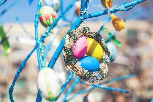 Group painted Easter eggs on tree branch — Stock Photo, Image